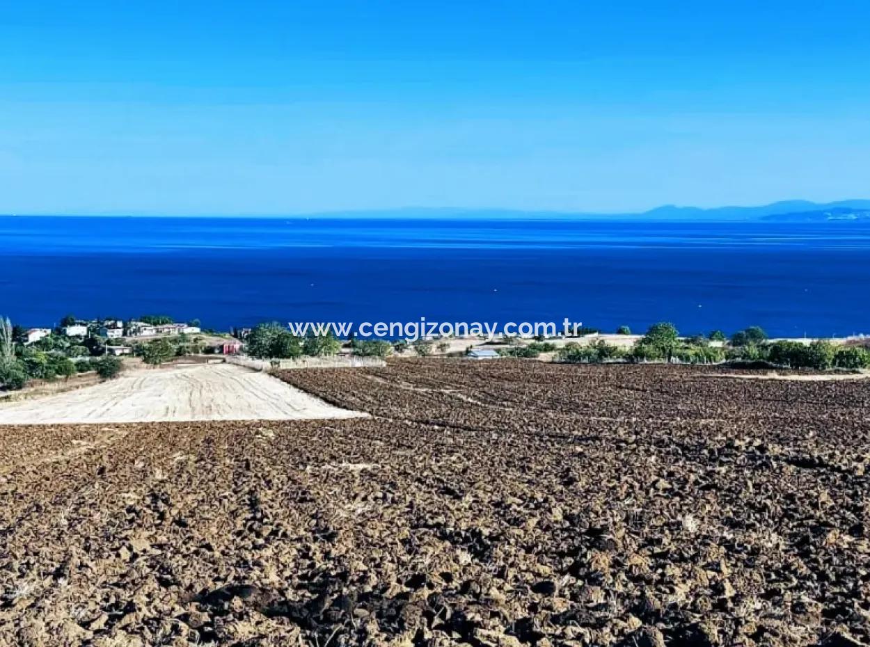 High Profit Guarantee Invest In 44 Flats Of Mass Housing Area Give To Contractors Double Your Profits