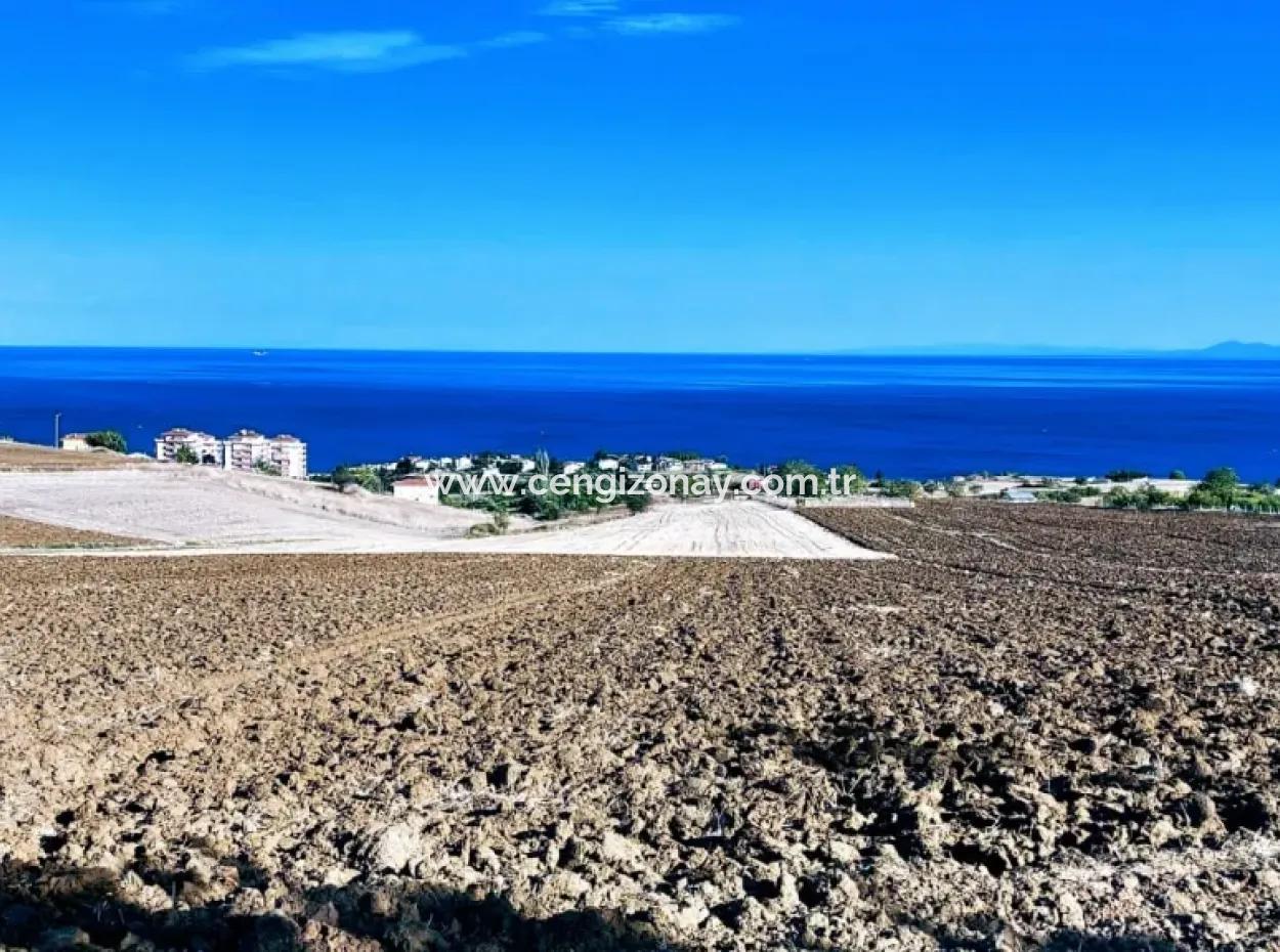 High Profit Guarantee Invest In 44 Flats Of Mass Housing Area Give To Contractors Double Your Profits