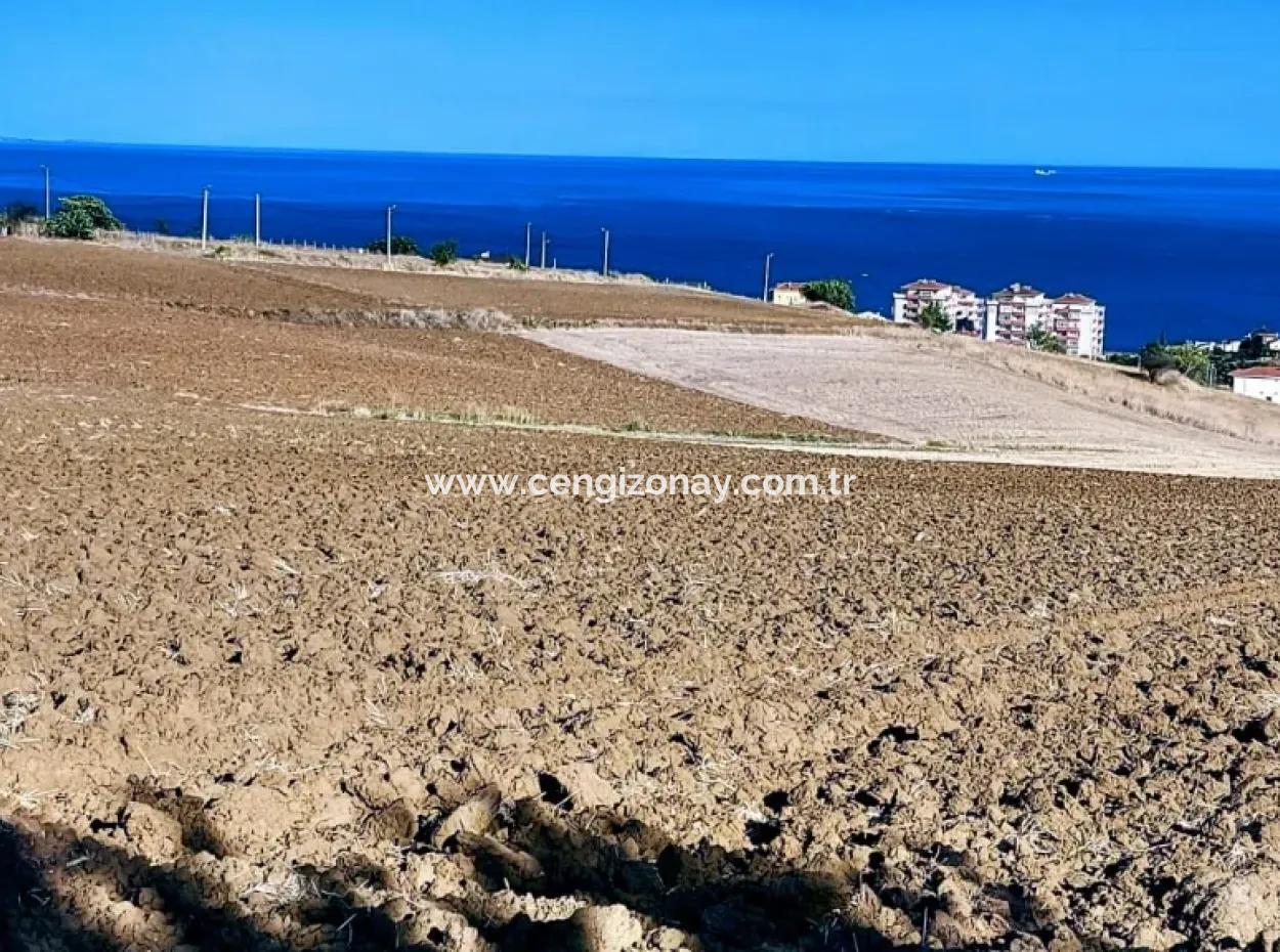 High Profit Guarantee Invest In 44 Flats Of Mass Housing Area Give To Contractors Double Your Profits