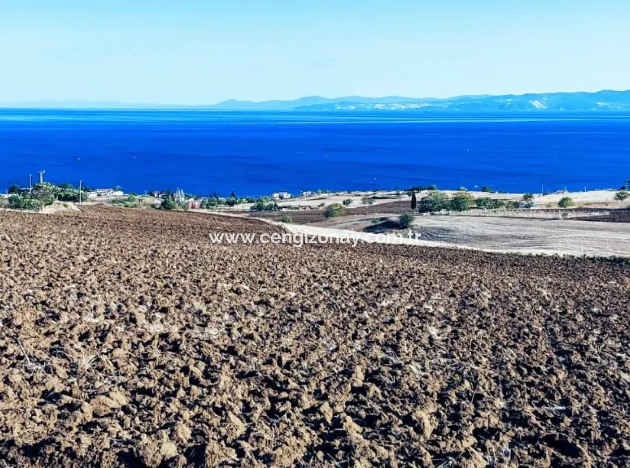 High Profit Guarantee Invest In 44 Flats Of Mass Housing Area Give To Contractors Double Your Profits