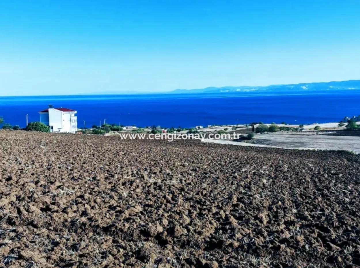 High Profit Guarantee Invest In 44 Flats Of Mass Housing Area Give To Contractors Double Your Profits