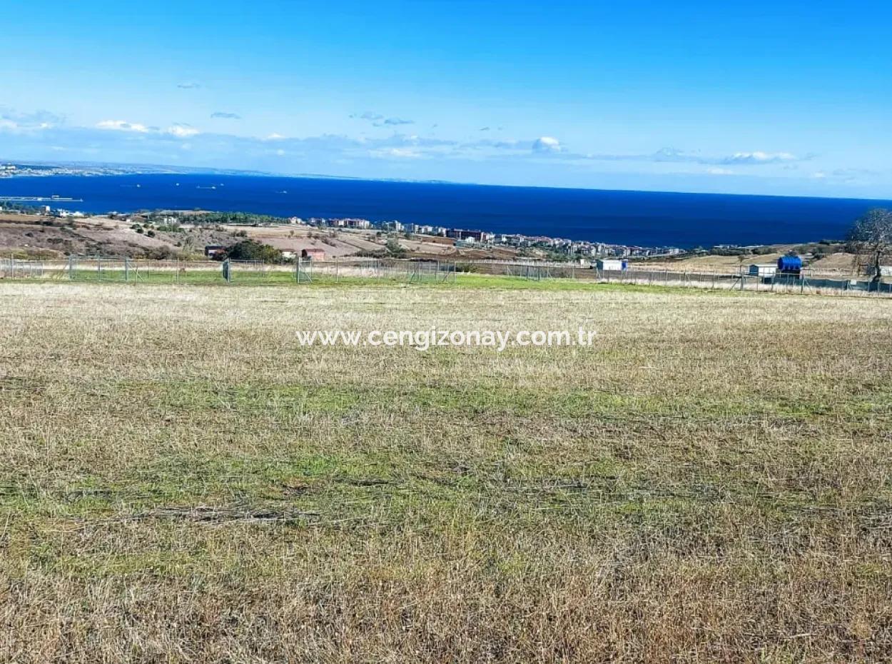 Apply Luxury Villa Project For Urgent Sale Provide High Kaznç Location Magnificent Completely Full Sea And Nature View