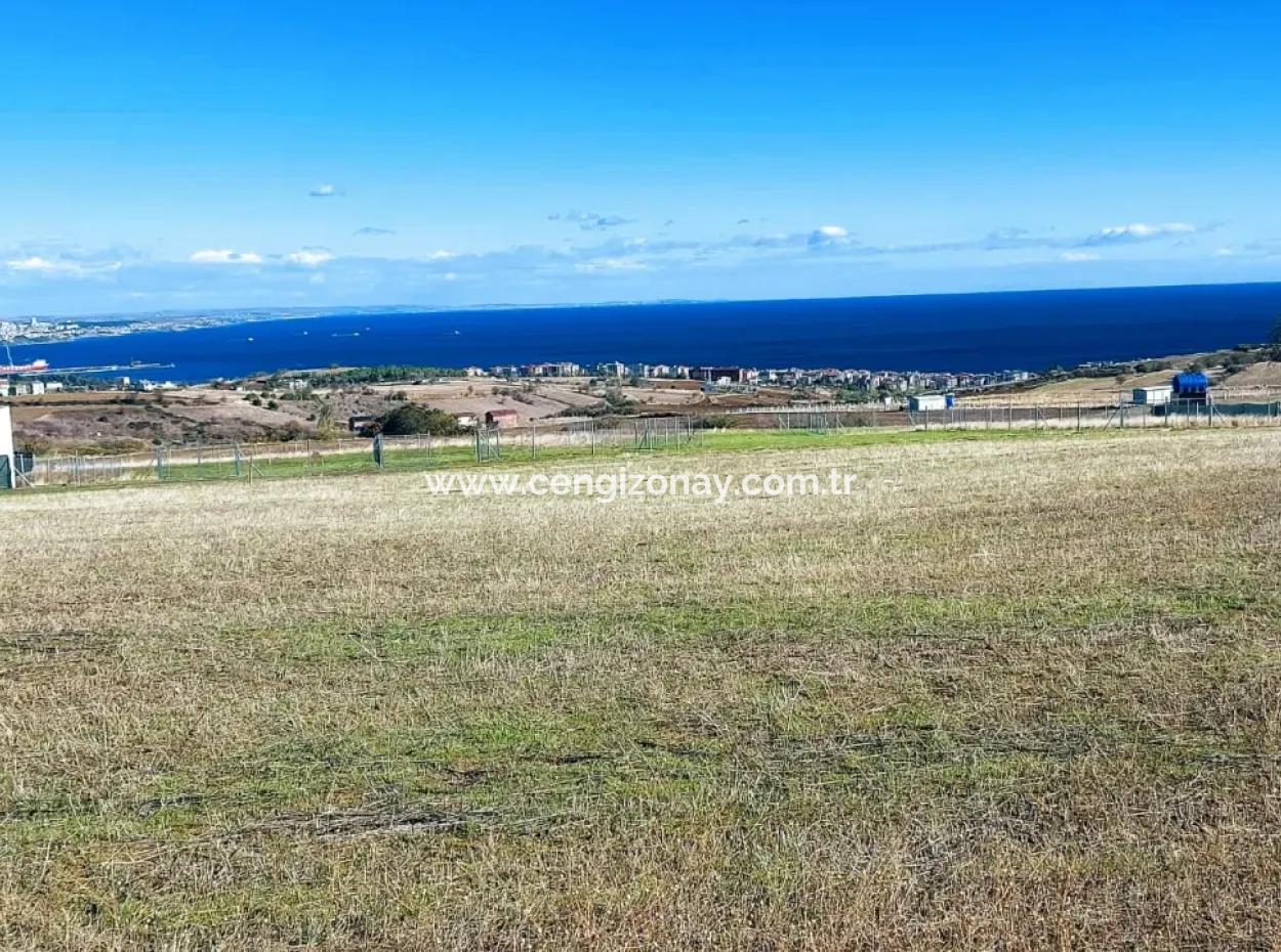 Apply Luxury Villa Project For Urgent Sale Provide High Kaznç Location Magnificent Completely Full Sea And Nature View