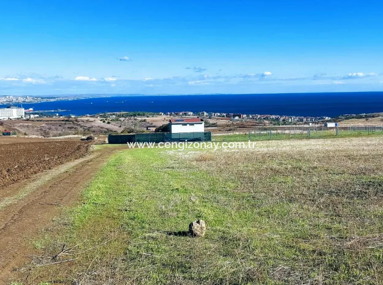 Apply Luxury Villa Project For Urgent Sale Provide High Kaznç Location Magnificent Completely Full Sea And Nature View