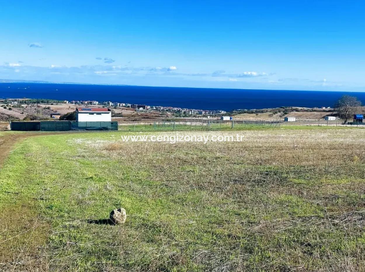 Apply Luxury Villa Project For Urgent Sale Provide High Kaznç Location Magnificent Completely Full Sea And Nature View