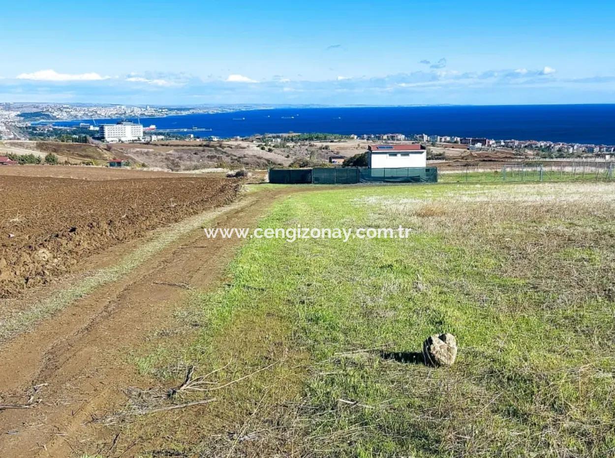 Apply Luxury Villa Project For Urgent Sale Provide High Kaznç Location Magnificent Completely Full Sea And Nature View