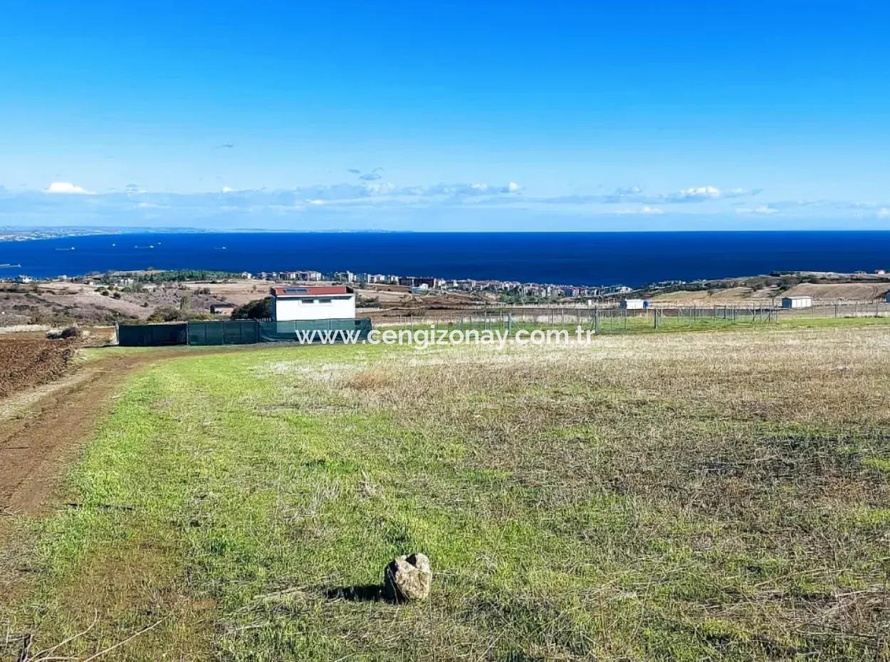 Apply Luxury Villa Project For Urgent Sale Provide High Kaznç Location Magnificent Completely Full Sea And Nature View