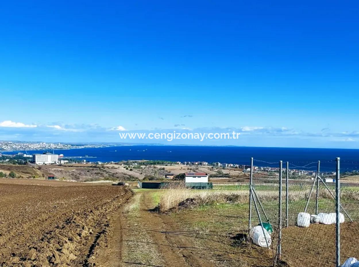 Apply Luxury Villa Project For Urgent Sale Provide High Kaznç Location Magnificent Completely Full Sea And Nature View