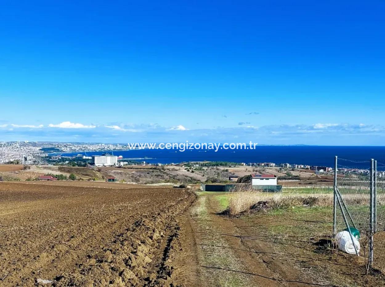Apply Luxury Villa Project For Urgent Sale Provide High Kaznç Location Magnificent Completely Full Sea And Nature View