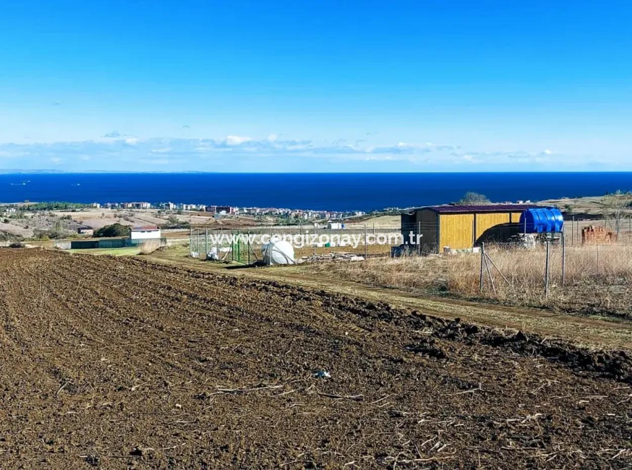 Apply Luxury Villa Project For Urgent Sale Provide High Kaznç Location Magnificent Completely Full Sea And Nature View