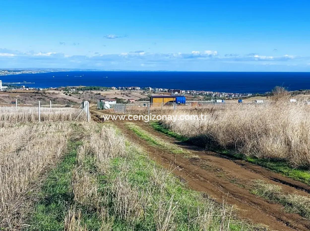 Apply Luxury Villa Project For Urgent Sale Provide High Kaznç Location Magnificent Completely Full Sea And Nature View
