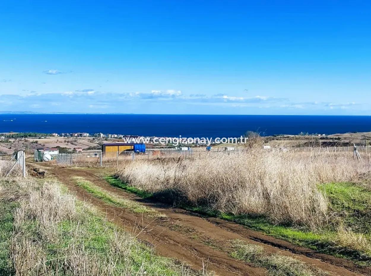 Apply Luxury Villa Project For Urgent Sale Provide High Kaznç Location Magnificent Completely Full Sea And Nature View