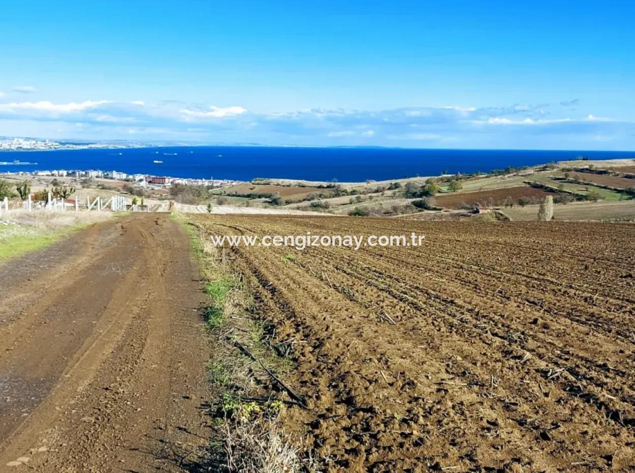 Apply Luxury Villa Project For Urgent Sale Provide High Kaznç Location Magnificent Completely Full Sea And Nature View