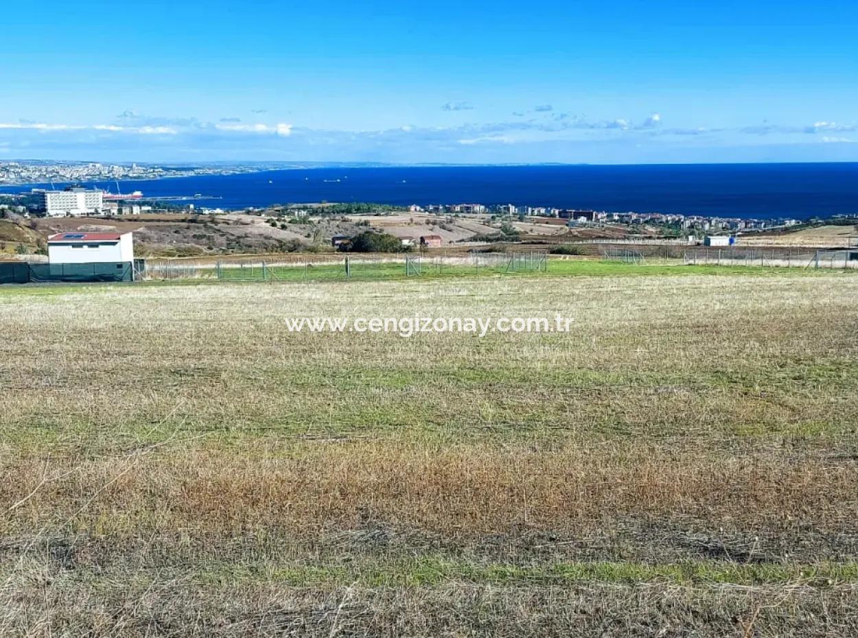 Apply Luxury Villa Project For Urgent Sale Provide High Kaznç Location Magnificent Completely Full Sea And Nature View