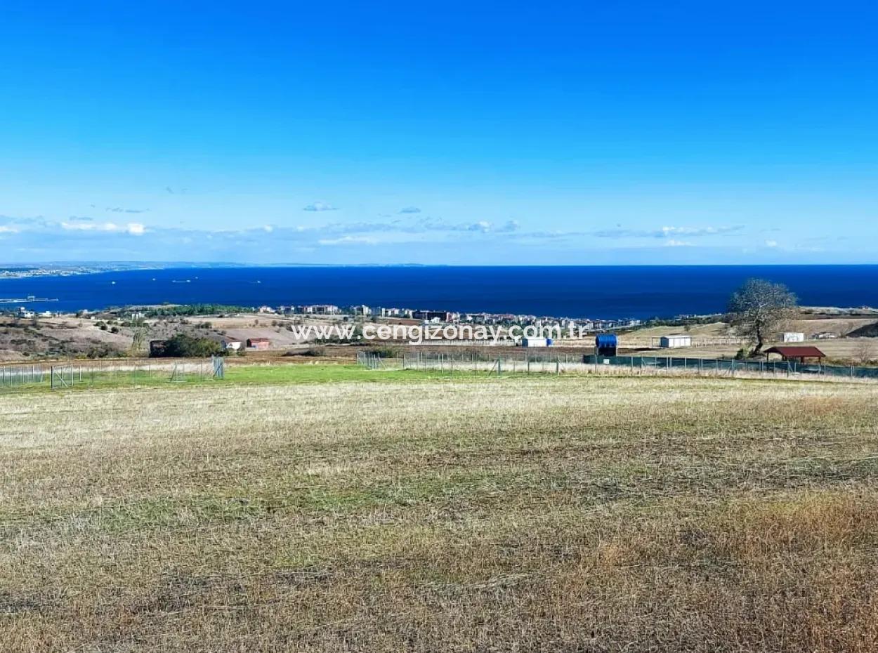 Apply Luxury Villa Project For Urgent Sale Provide High Kaznç Location Magnificent Completely Full Sea And Nature View