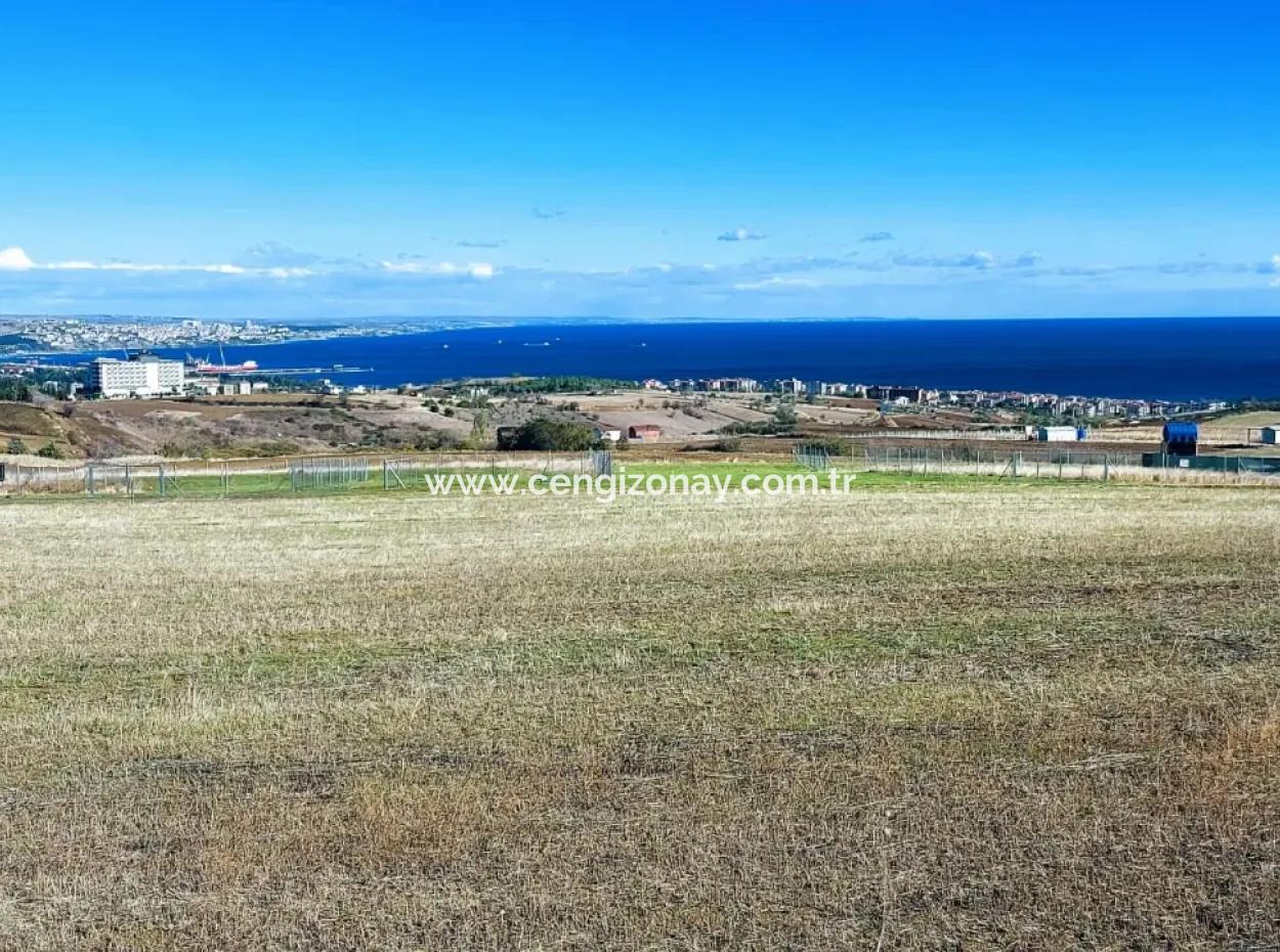 Apply Luxury Villa Project For Urgent Sale Provide High Kaznç Location Magnificent Completely Full Sea And Nature View