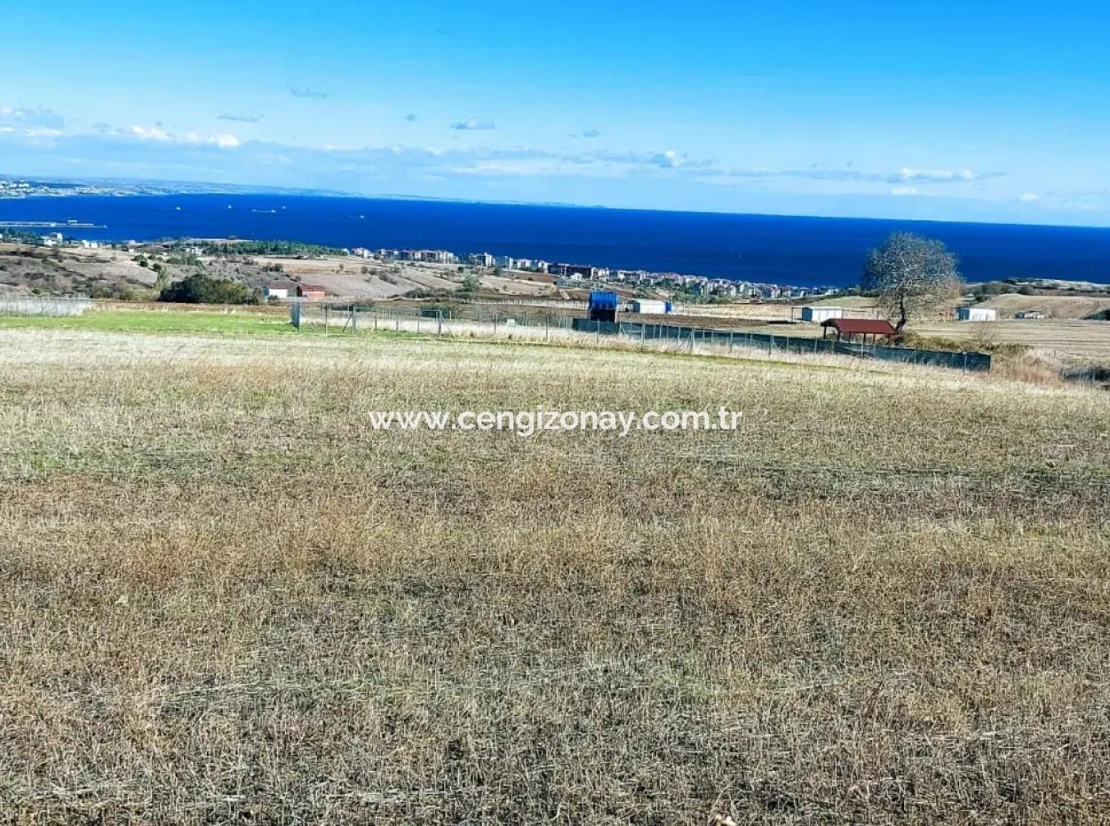 Apply Luxury Villa Project For Urgent Sale Provide High Kaznç Location Magnificent Completely Full Sea And Nature View