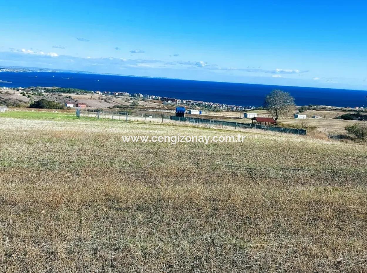 Apply Luxury Villa Project For Urgent Sale Provide High Kaznç Location Magnificent Completely Full Sea And Nature View