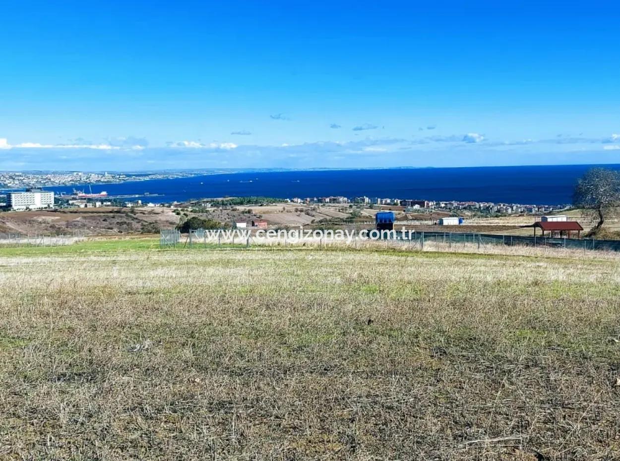 Apply Luxury Villa Project For Urgent Sale Provide High Kaznç Location Magnificent Completely Full Sea And Nature View