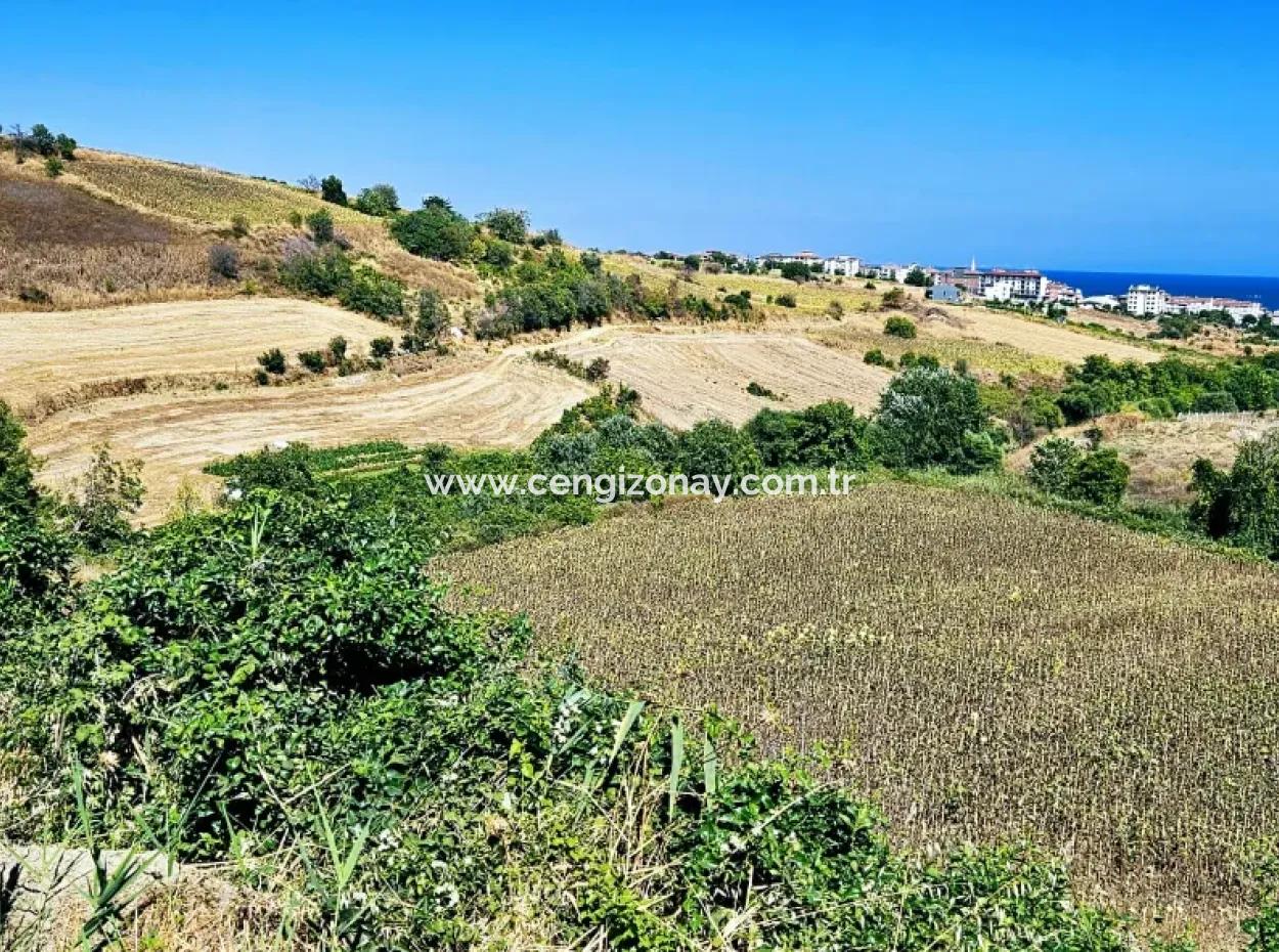 9.100 M2 Urgent Sale In Tekirdag Barbarosta Whether You Want To Make A Parcel Or Build A Villa High Profit Guarantee