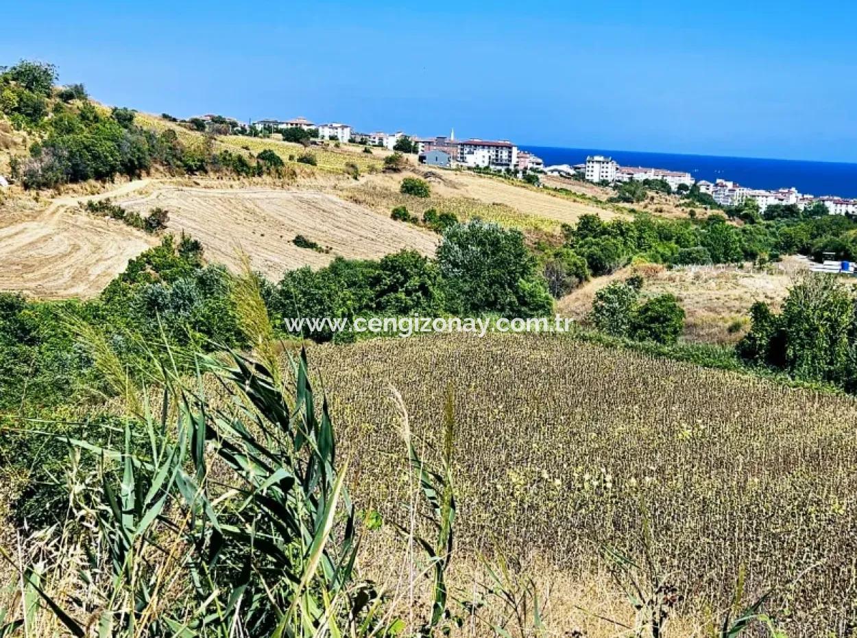 9.100 M2 Urgent Sale In Tekirdag Barbarosta Whether You Want To Make A Parcel Or Build A Villa High Profit Guarantee