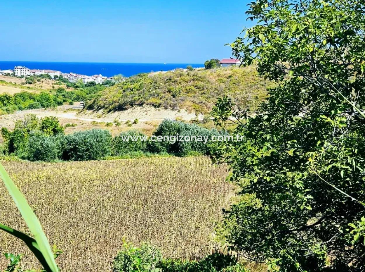 9.100 M2 Urgent Sale In Tekirdag Barbarosta Whether You Want To Make A Parcel Or Build A Villa High Profit Guarantee