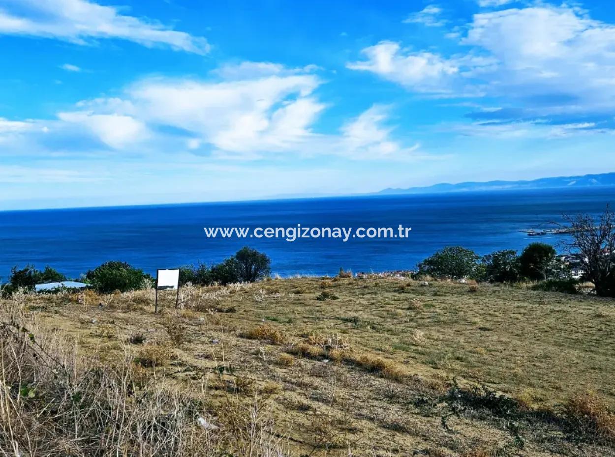 3.300 M2 Net Land Suitable For The Construction Of A Cooperative Site With Full Sea View For Urgent Sale In Tekirdag Barbarosta