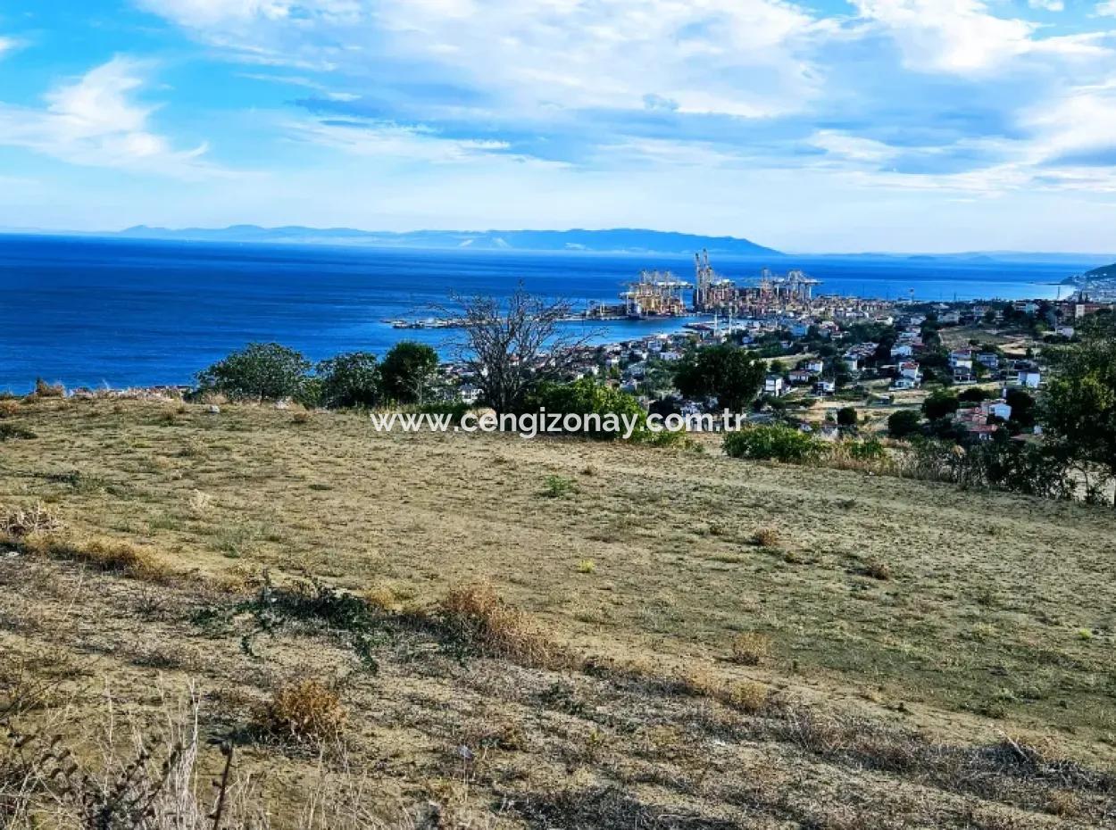 3.300 M2 Net Land Suitable For The Construction Of A Cooperative Site With Full Sea View For Urgent Sale In Tekirdag Barbarosta