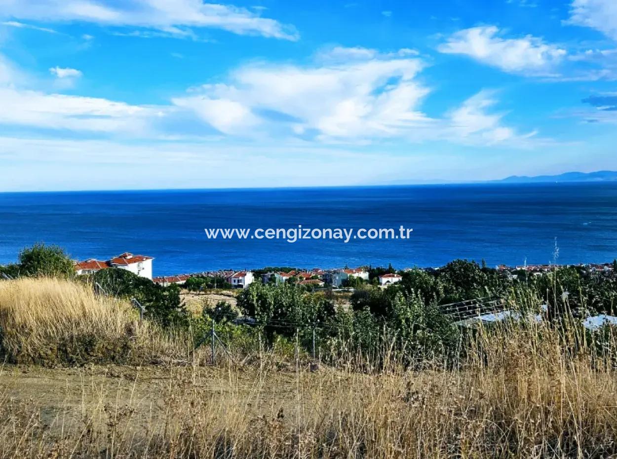 3.300 M2 Net Land Suitable For The Construction Of A Cooperative Site With Full Sea View For Urgent Sale In Tekirdag Barbarosta