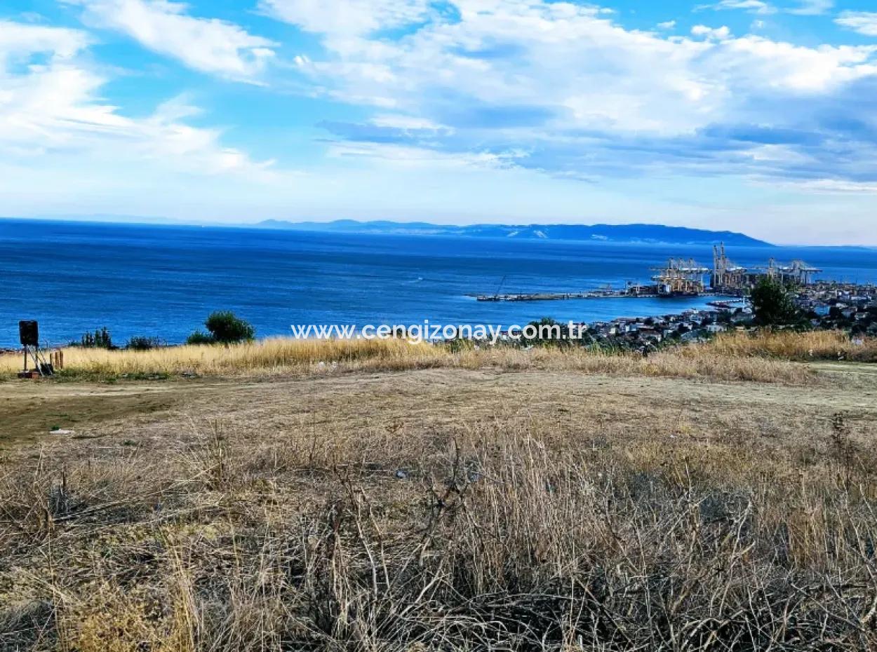 3.300 M2 Net Land Suitable For The Construction Of A Cooperative Site With Full Sea View For Urgent Sale In Tekirdag Barbarosta