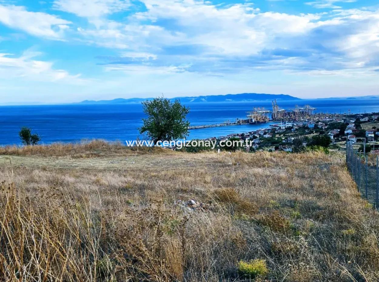3.300 M2 Net Land Suitable For The Construction Of A Cooperative Site With Full Sea View For Urgent Sale In Tekirdag Barbarosta