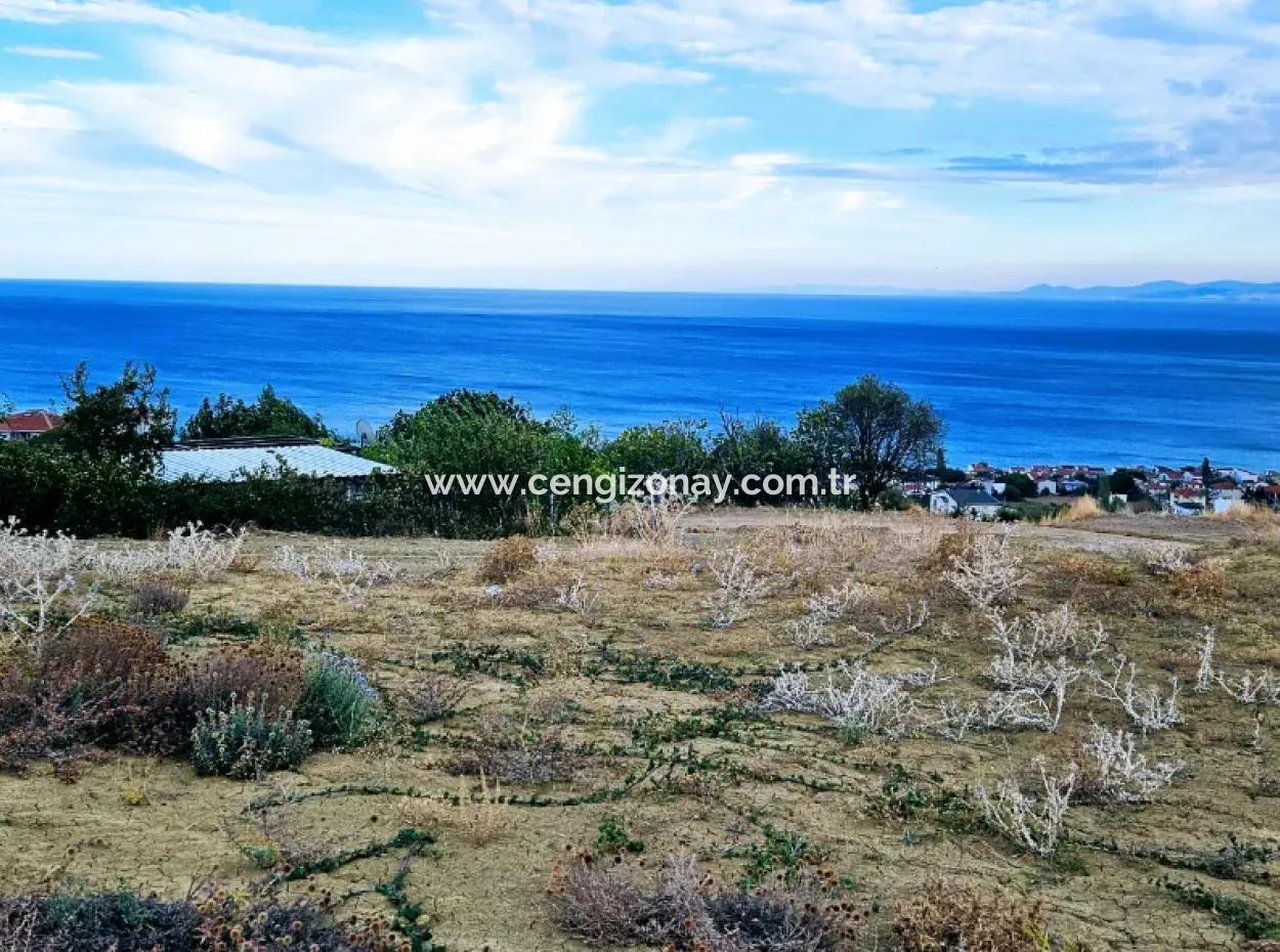 3.300 M2 Net Land Suitable For The Construction Of A Cooperative Site With Full Sea View For Urgent Sale In Tekirdag Barbarosta