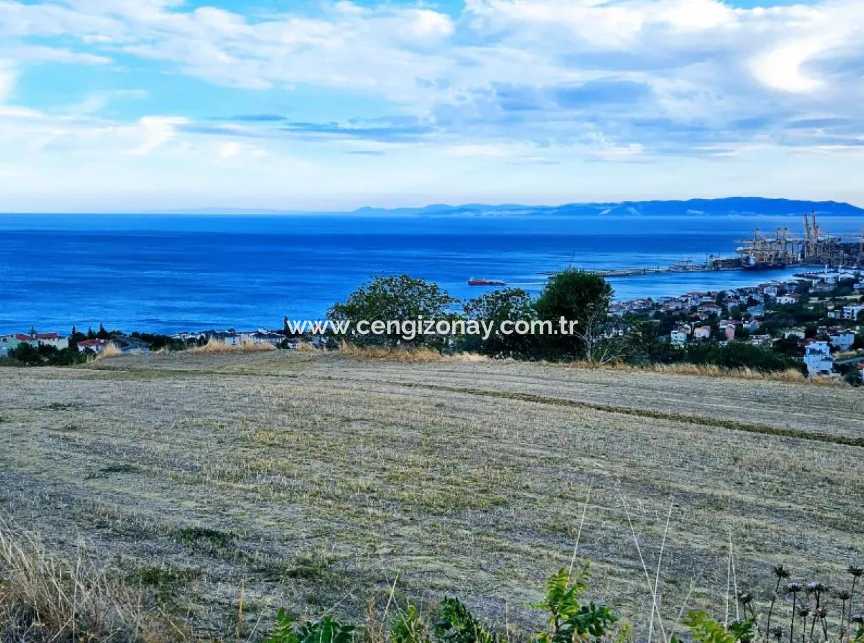 3.300 M2 Net Land Suitable For The Construction Of A Cooperative Site With Full Sea View For Urgent Sale In Tekirdag Barbarosta