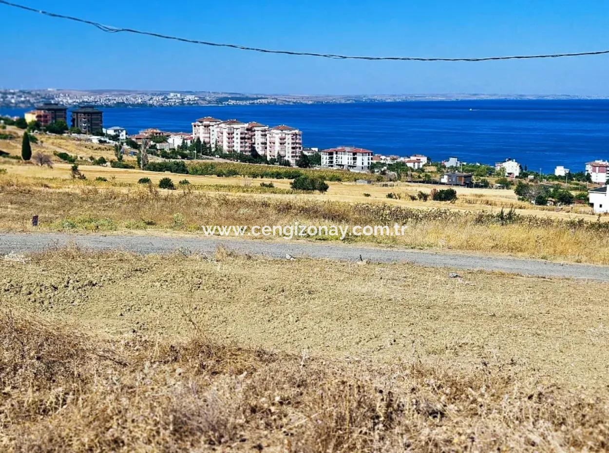 Opportunity Land Suitable For Building Your Detached House In Your Pregnant House For Urgent Sale In Tekirdag Barbarosta