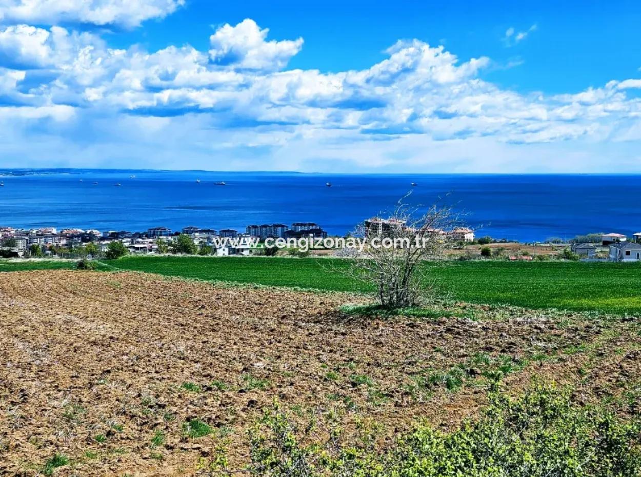 Wonderful Sea And Nature View Or Cooperative. Whether You Want To Build A Luxury Villa. 40 Flats 6.400 Residential Zoned Land