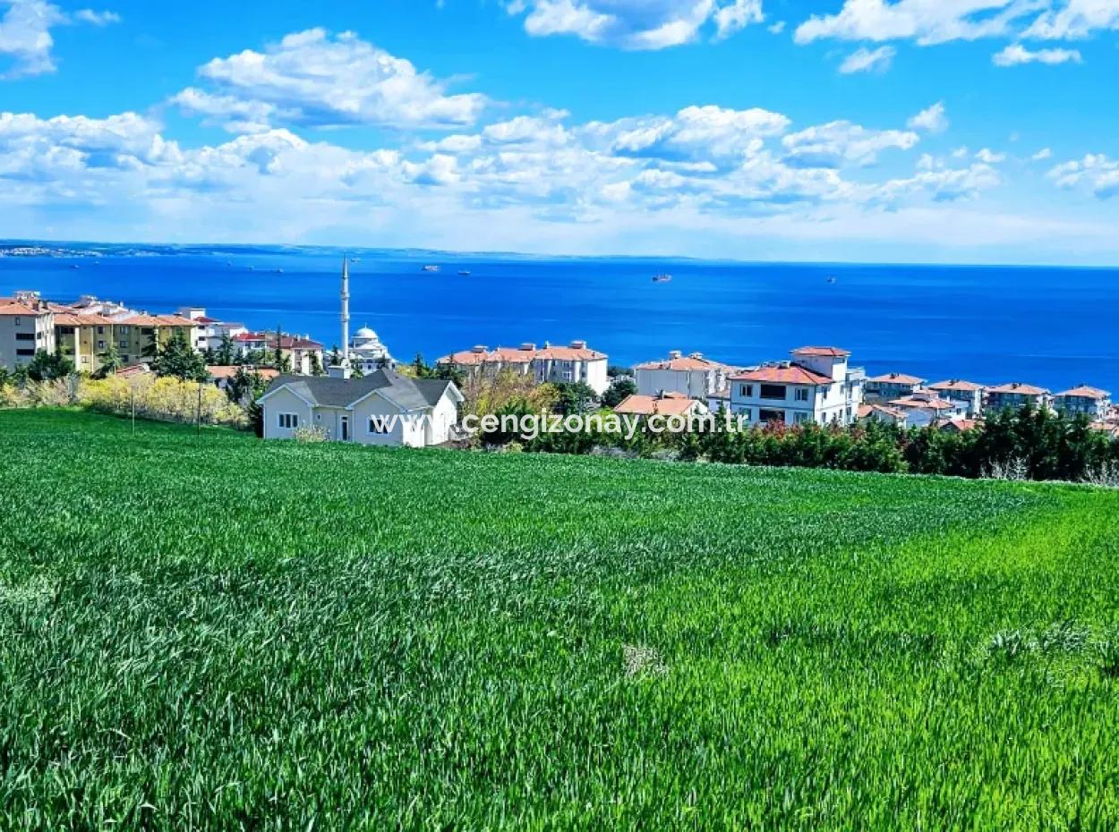 Wonderful Sea And Nature View Or Cooperative. Whether You Want To Build A Luxury Villa. 40 Flats 6.400 Residential Zoned Land