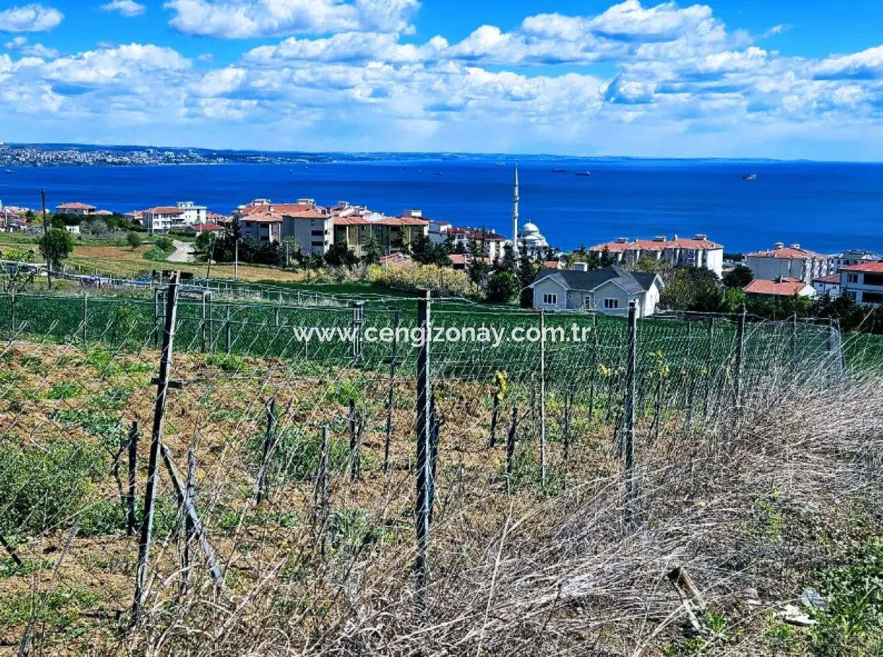 Wonderful Sea And Nature View Or Cooperative. Whether You Want To Build A Luxury Villa. 40 Flats 6.400 Residential Zoned Land