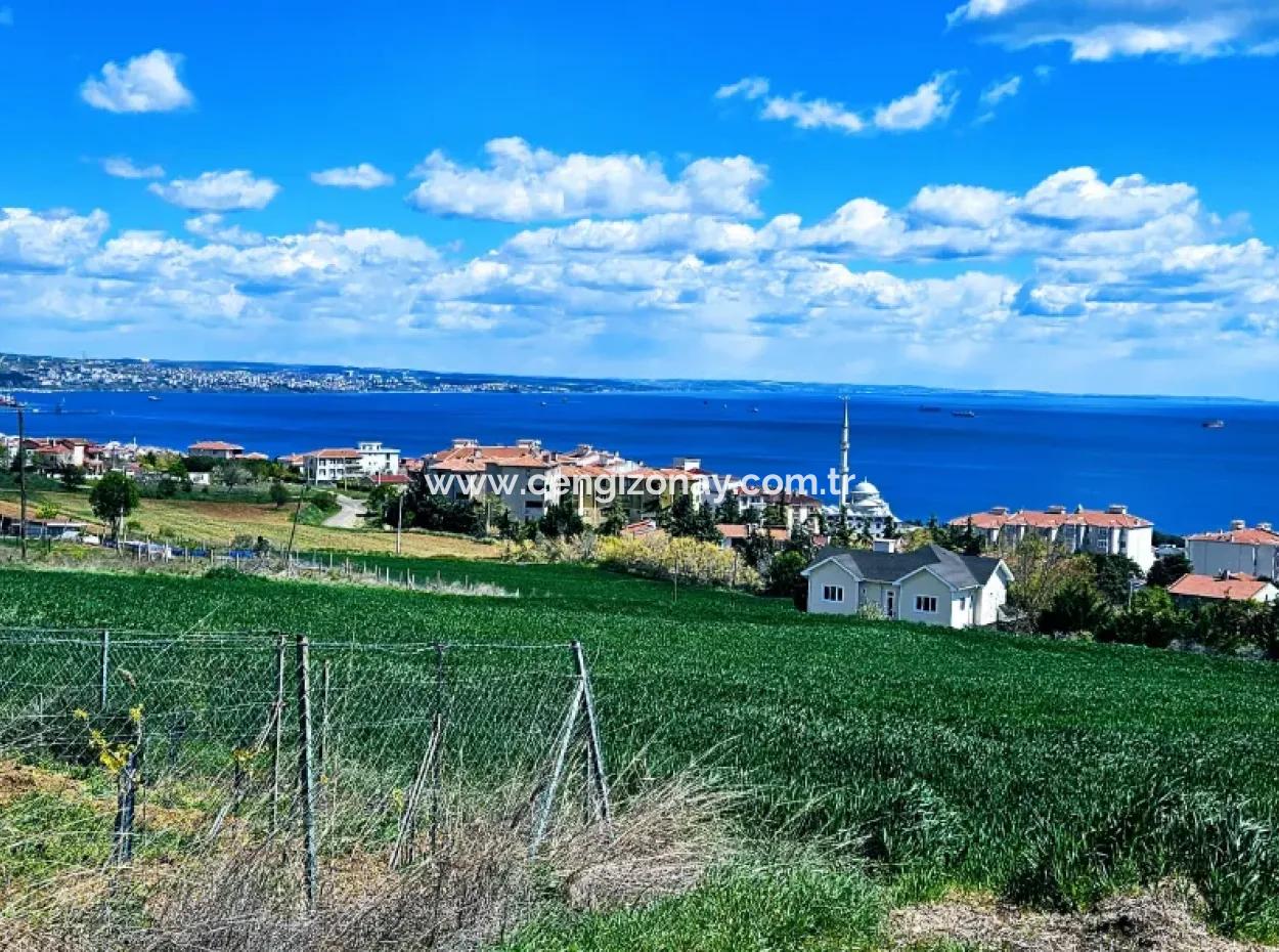 Wonderful Sea And Nature View Or Cooperative. Whether You Want To Build A Luxury Villa. 40 Flats 6.400 Residential Zoned Land