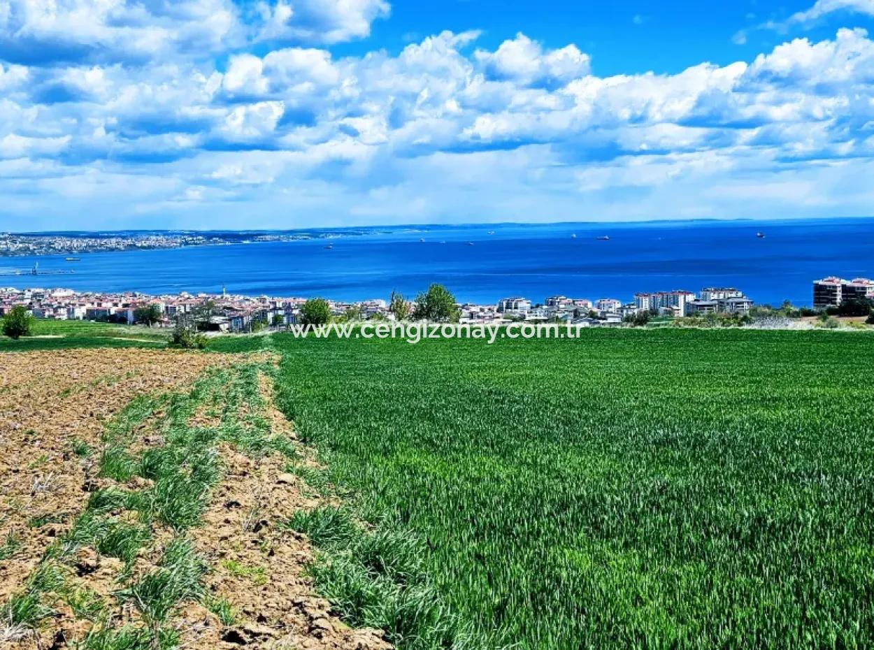 Wonderful Sea And Nature View Or Cooperative. Whether You Want To Build A Luxury Villa. 40 Flats 6.400 Residential Zoned Land