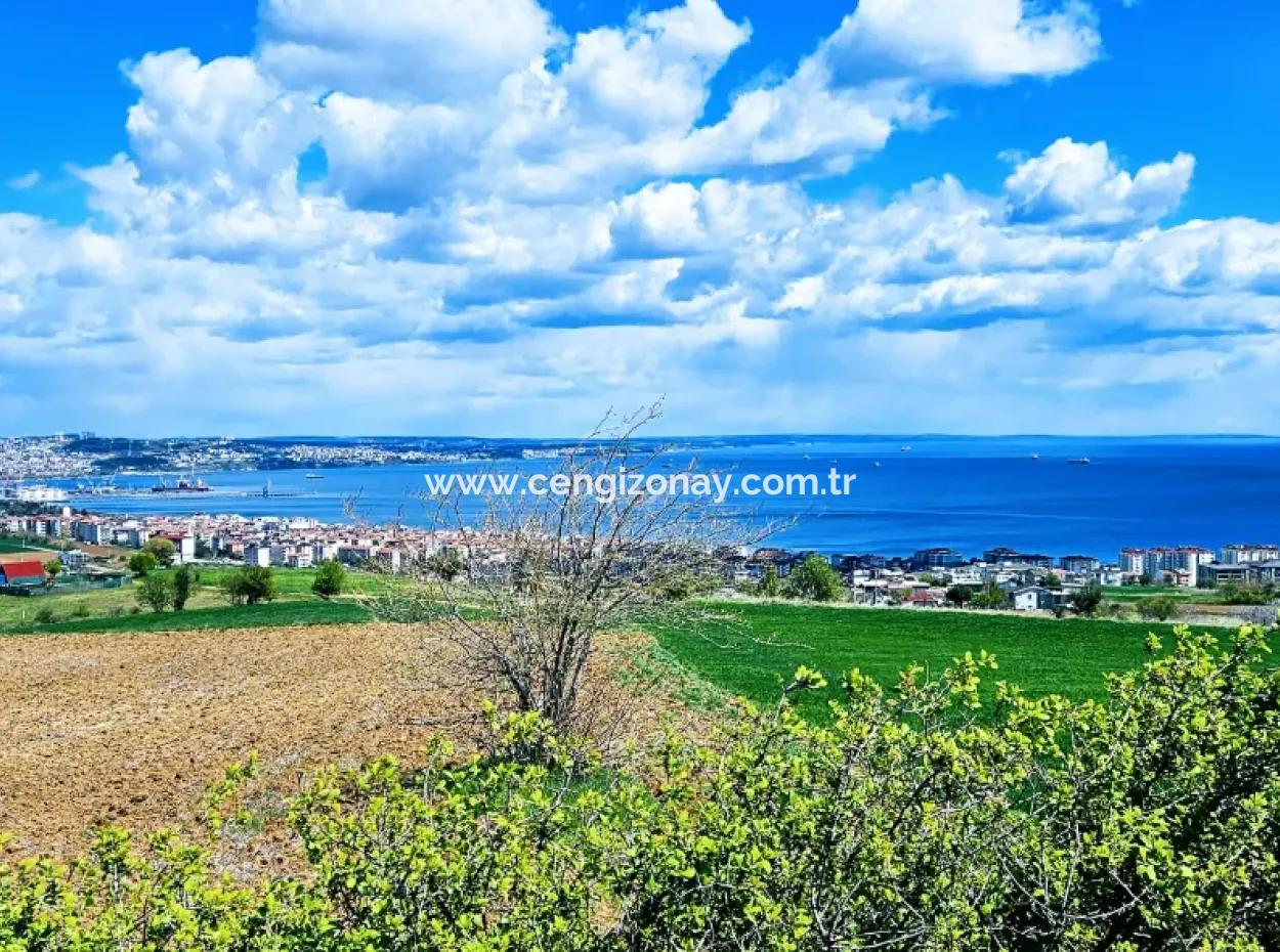 Wonderful Sea And Nature View Or Cooperative. Whether You Want To Build A Luxury Villa. 40 Flats 6.400 Residential Zoned Land