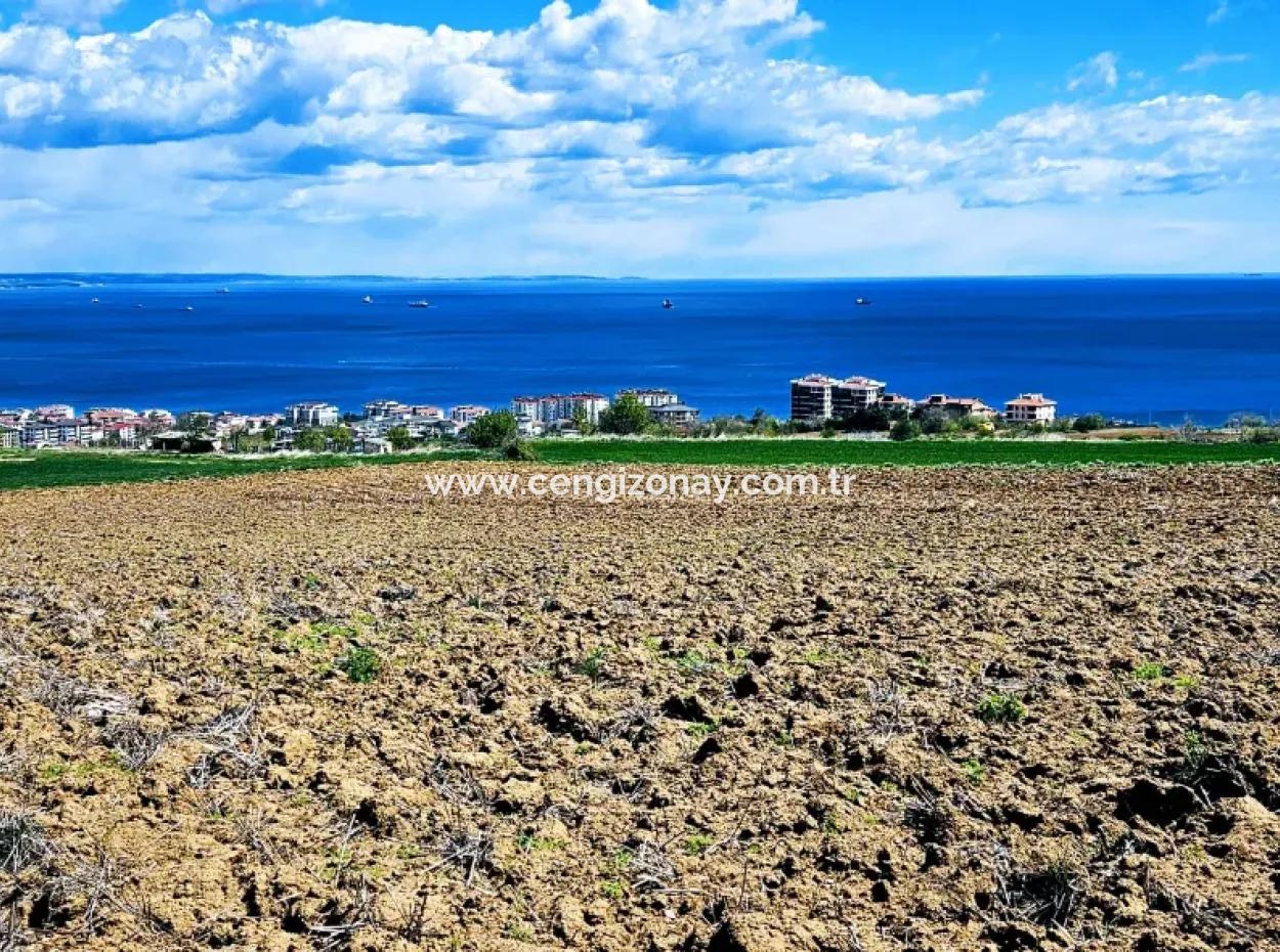 Opportunity Land Suitable For Urgent Sale Magnificent Location Full Sea View 4 Side Road Façade Cooperative And Site Construction