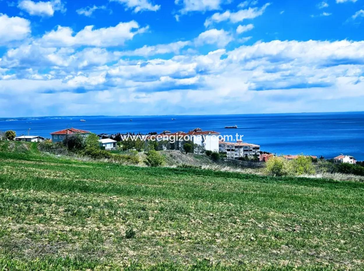 Full Sea And Nature Landscape Infrastructure Ready Luxury 45 Flats Cooperative And Coupon Land Suitable For Site Construction