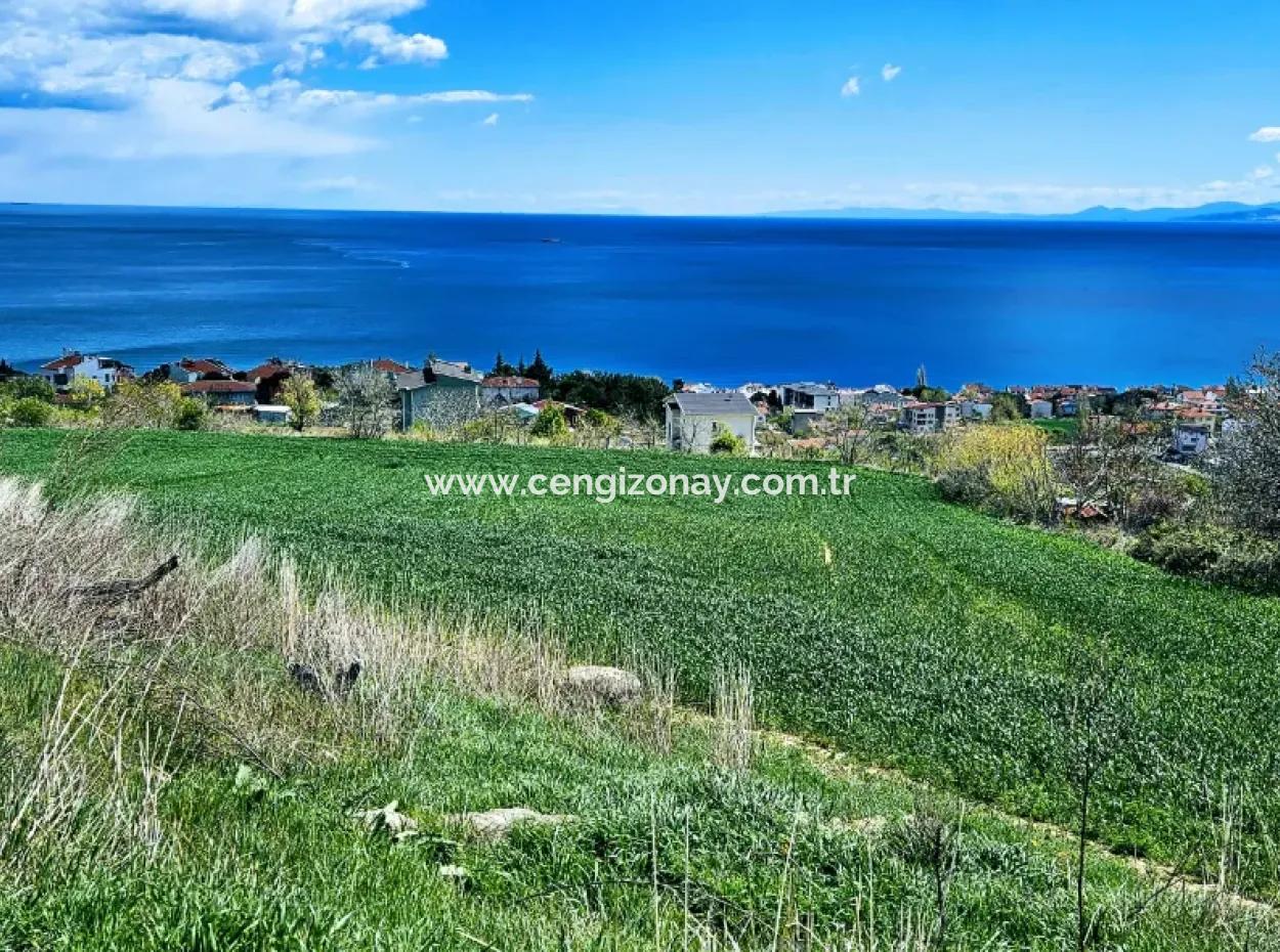 Full Sea And Nature Landscape Infrastructure Ready Luxury 45 Flats Cooperative And Coupon Land Suitable For Site Construction