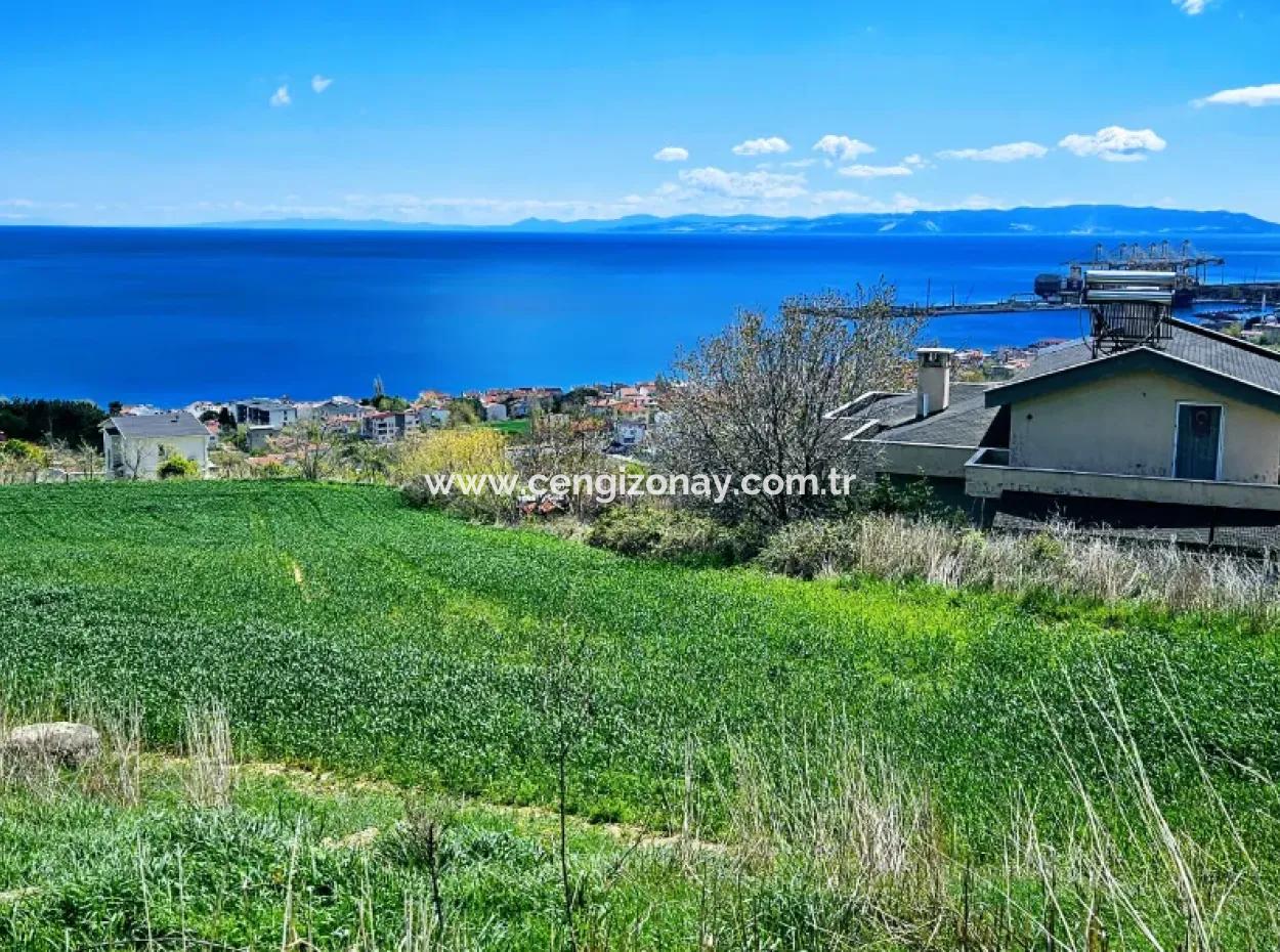 Full Sea And Nature Landscape Infrastructure Ready Luxury 45 Flats Cooperative And Coupon Land Suitable For Site Construction