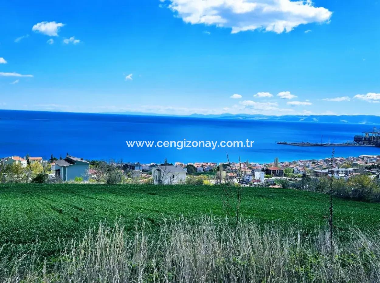 Full Sea And Nature Landscape Infrastructure Ready Luxury 45 Flats Cooperative And Coupon Land Suitable For Site Construction