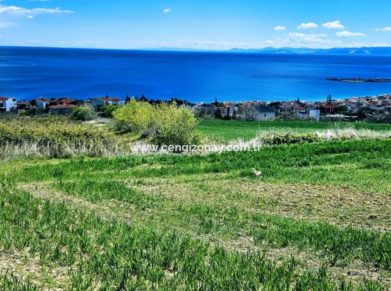 Full Sea And Nature Landscape Infrastructure Ready Luxury 45 Flats Cooperative And Coupon Land Suitable For Site Construction