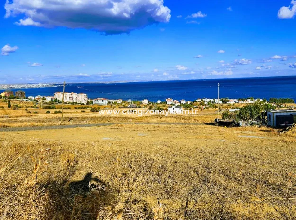 Tekirdag Barbarosta Voucher Land With Full Sea View For Urgent Sale