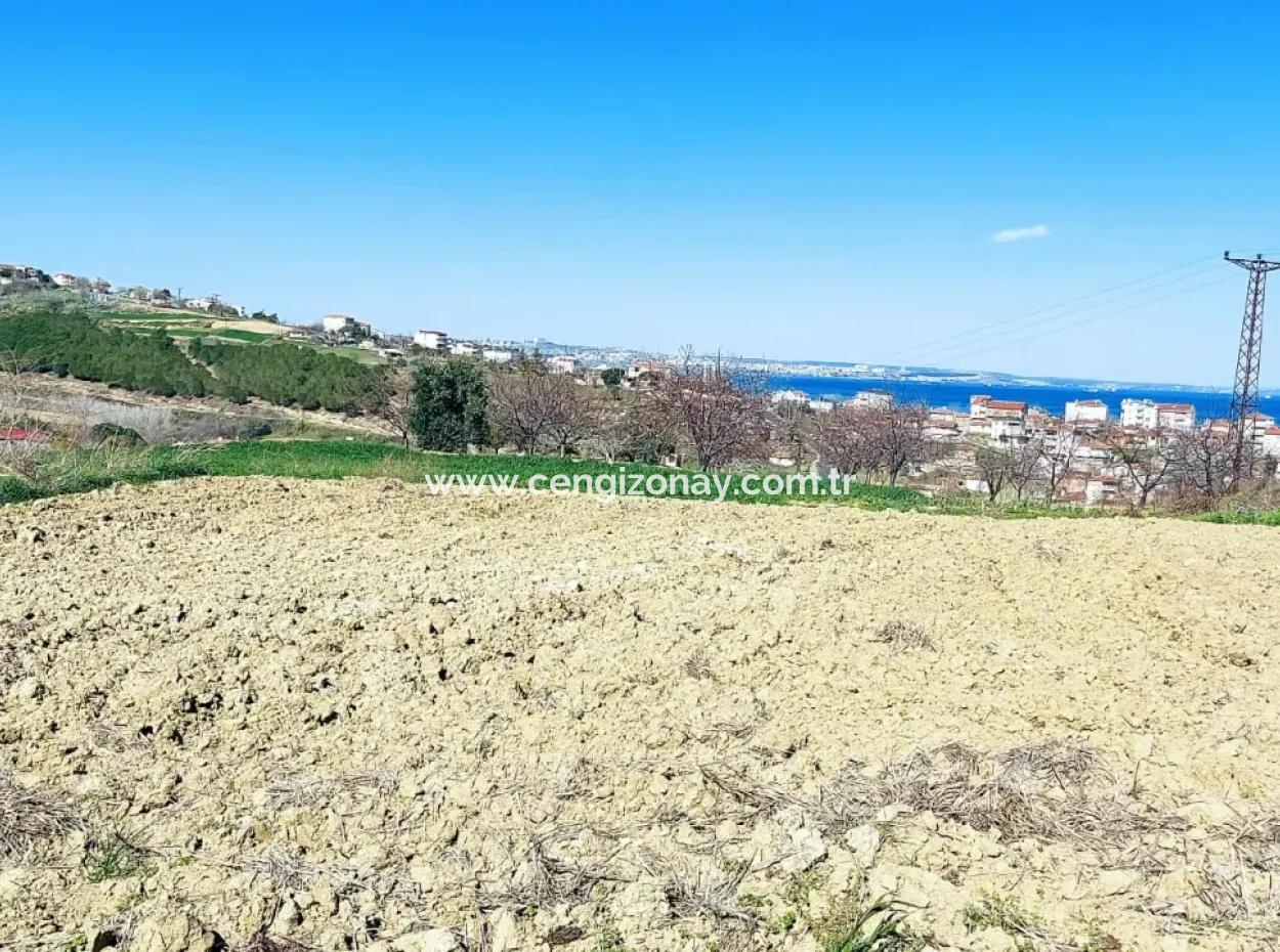 Investment Opportunity: 615 M2 Corner Land For Sale In Tekirdag Barbaros - Urgent Sale, Sea And Nature View, 0 Zoned