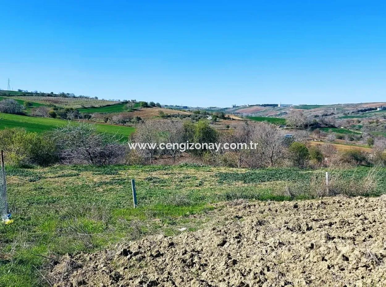 Investment Opportunity: 615 M2 Corner Land For Sale In Tekirdag Barbaros - Urgent Sale, Sea And Nature View, 0 Zoned