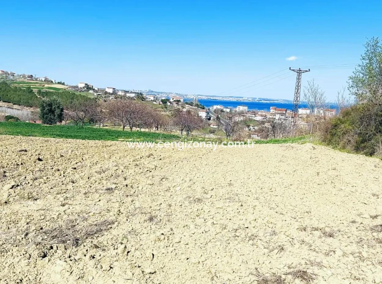 Investment Opportunity: 615 M2 Corner Land For Sale In Tekirdag Barbaros - Urgent Sale, Sea And Nature View, 0 Zoned